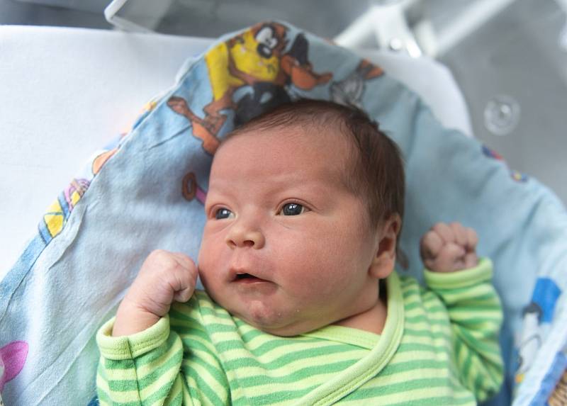 Veronika Haklová z Čelákovic se narodila v nymburské porodnici 1. listopadu 2021 ve 14:40 hodin s váhou 3580 g a mírou 49 cm. Holčičku očekávala maminka Jitka, tatínek Jan a bráška Antonín (5,5 roku).
