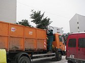 Vánoční stromky sbíraly technické v Poděbradech