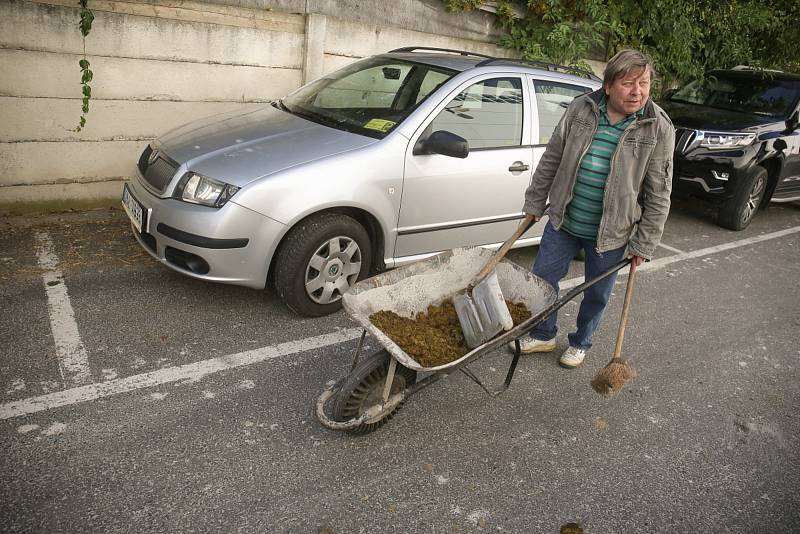 Z loňského ročníku veletrhu Kůň.