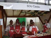 Dožínky a Gastrofestival v Lysé nad Labem