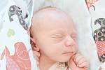 Rostislav Šrámek se narodil v nymburské porodnici 20. září 2022 v 1:57 hodin s váhou 3300 g a mírou 50 cm. Z chlapečka se ve Velkém Oseku raduje maminka Markéta, tatínek David a sestřička Anděla (3 roky).