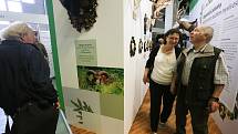 První den výstavy Natura Viva v Lysé nad Labem ve čtvrtek 26. května 2022.