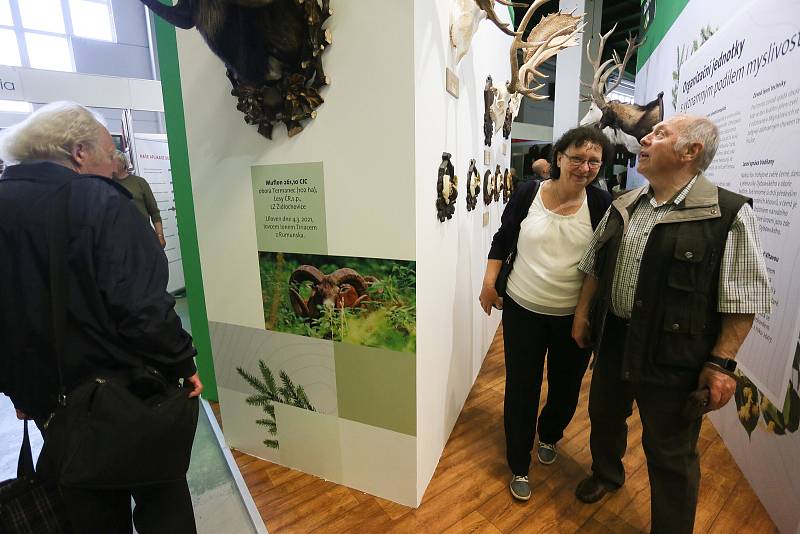 První den výstavy Natura Viva v Lysé nad Labem ve čtvrtek 26. května 2022.