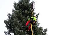 Nymburské náměstí zdobí Vánoční strom, který byl uříznut v Kovanicích. 