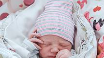 Vít Kšírl se narodil v nymburské porodnici 23. května 2022 v 00:38 hodin s váhou 3020 g a mírou 48 cm. Chlapeček odjel s maminkou Alžbětou, tatínkem Vojtěchem a sestřičkou Jasminou (2 roky) do Červeného Hrádku.