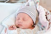 Aneta Dvorská z Milovic se narodila v nymburské porodnici 25. ledna 2022 v 18:35 hodin s váhou 2550 g a mírou 46 cm. Na holčičku se těšila maminka Jitka, tatínek Pavol a sestřička Adéla (4 roky).