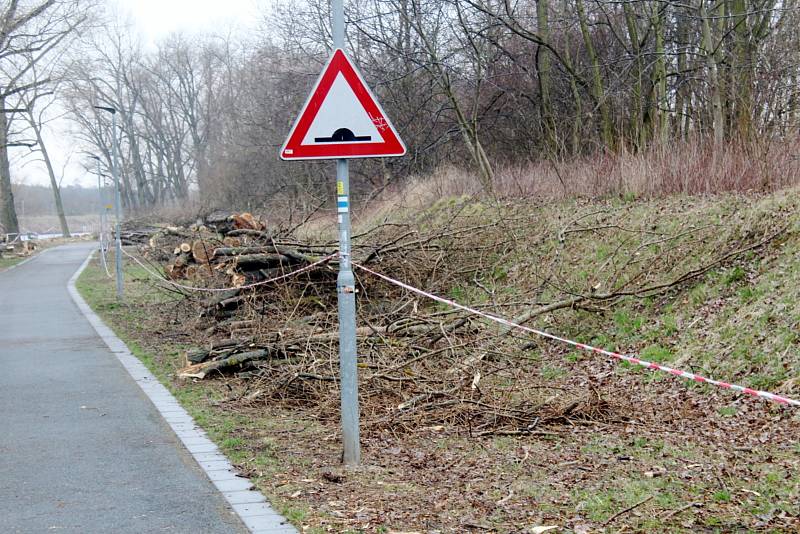 Situace u cyklostezky u Labe za železničním mostem po třech dnech kácení topolů.