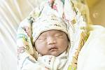 9.David Nguyen se narodil v nymburské porodnici 14. října 2021 ve 3:07 hodin s váhou 3730 g a mírou 50 cm. V Poděbradech bude chlapeček vyrůstat s maminkou Hog Le a sestřičkou Sárou (4 roky).