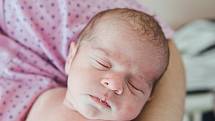Mikuláš Gueddouda se narodil v nymburské porodnici 1. července 2022 v 20:10 hodin s váhou 2710 g a mírou 47 cm. V Lysé nad Labem chlapečka očekávala maminka Dominika, tatínek Mikuláš, bráška Sebastian (9,5 roku) a sestřička Sarah (4 roky).