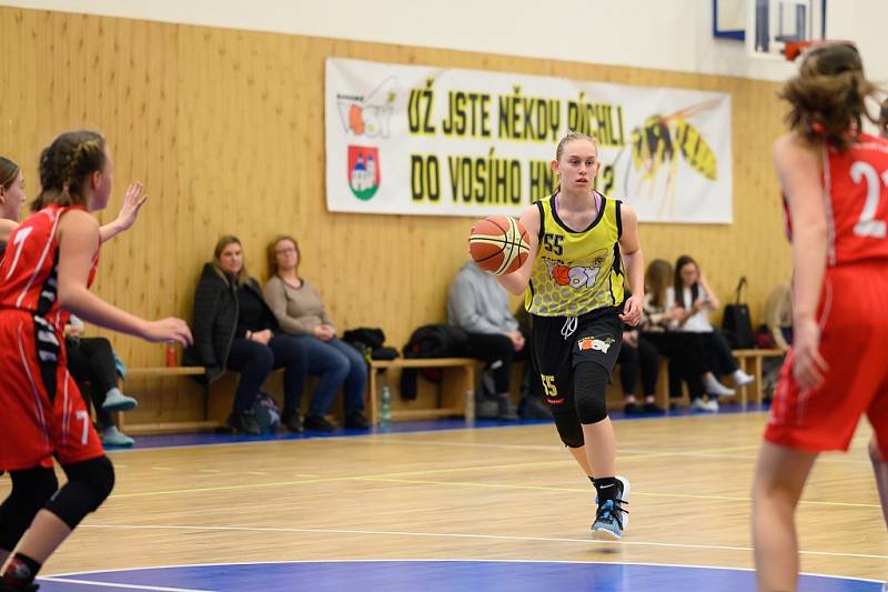 Z basketbalového utkání Středočeského přeboru starších minižákyň U13 Sadská - Mladá Boleslav (119:12)