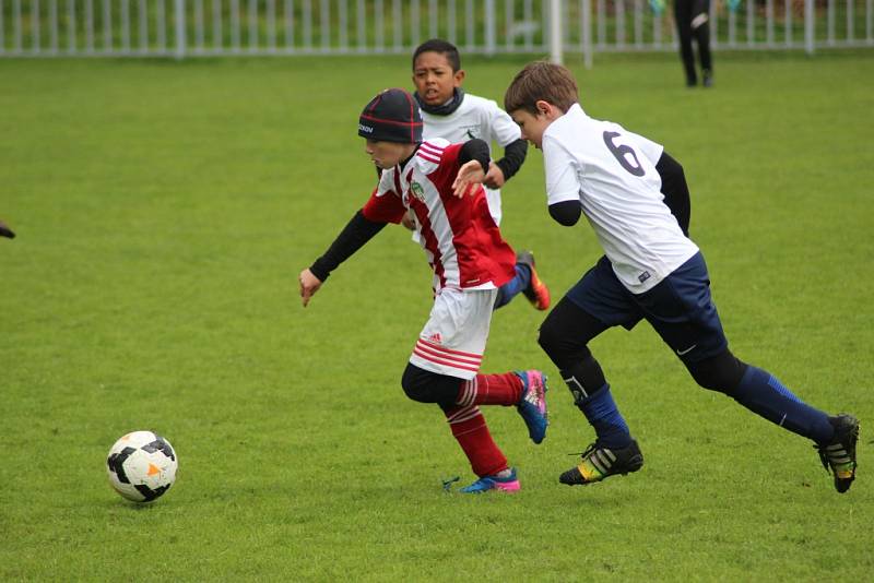 O víkendu se v Ostré uskutečnily dva fotbalové turnaje kategorie U11