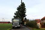 Nymburské náměstí zdobí Vánoční strom, který byl uříznut v Kovanicích. 