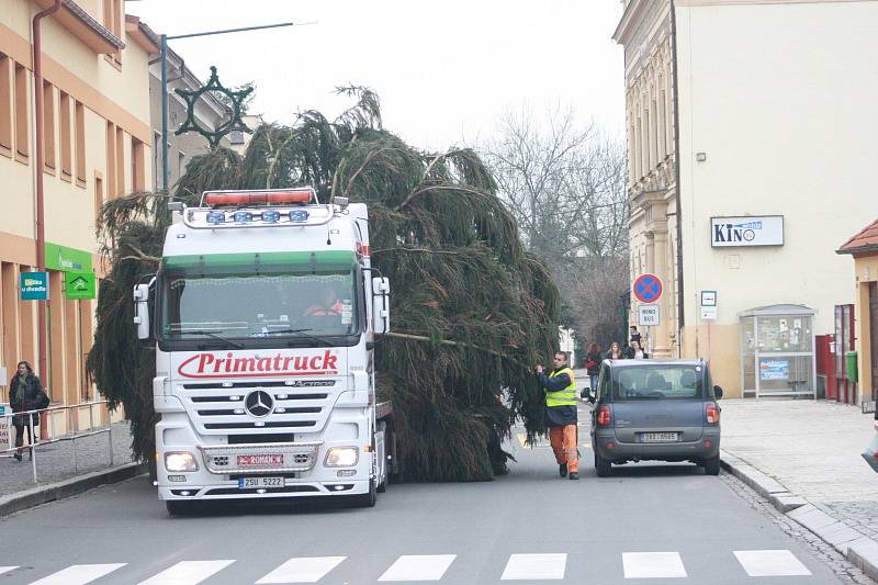 Převoz Vánočního stromu z Kostomlátek do Nymburka