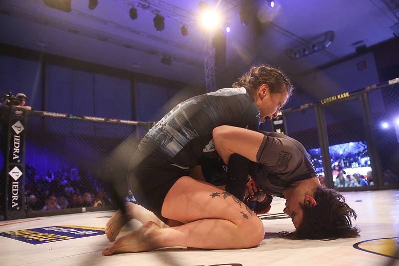 Galevečer MMA GCF 61 Cage Fight Nymburk se ve Sportovním centru konal v neděli 26. ledna.