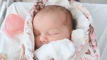 Štěpánka Kvízová se narodila v nymburské porodnici 1. prosince 2022 v 15:47 hodin s váhou 2970 g a mírou 46 cm. V Praze 8 bude prvorozená holčička bydlet s maminkou Dianou a tatínkem Martinem.