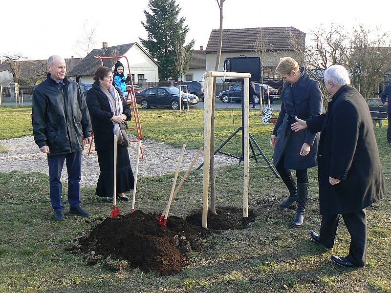 V Kluku odhalili pamětní desku a zasadili jubilejní lípu