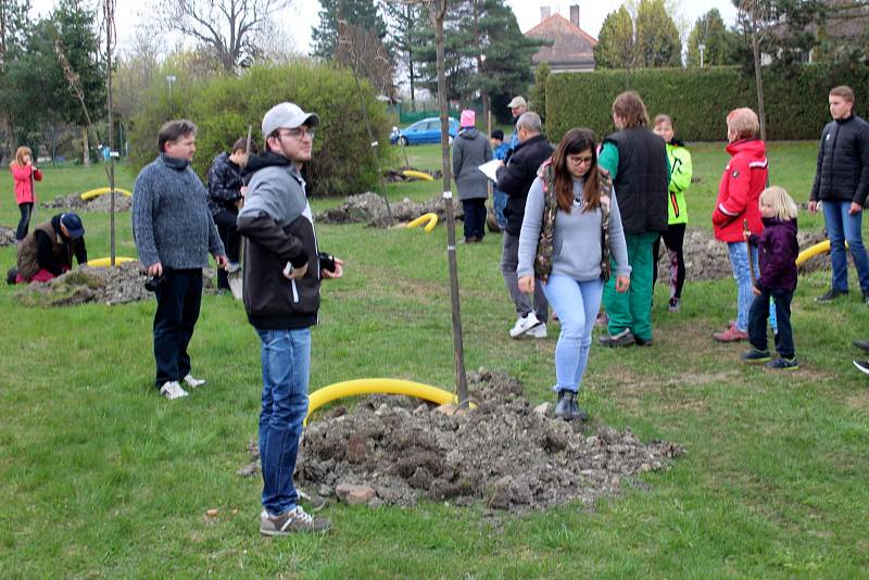 Ve Slovči sázeli lípy, které ponesou jména místních dětí.