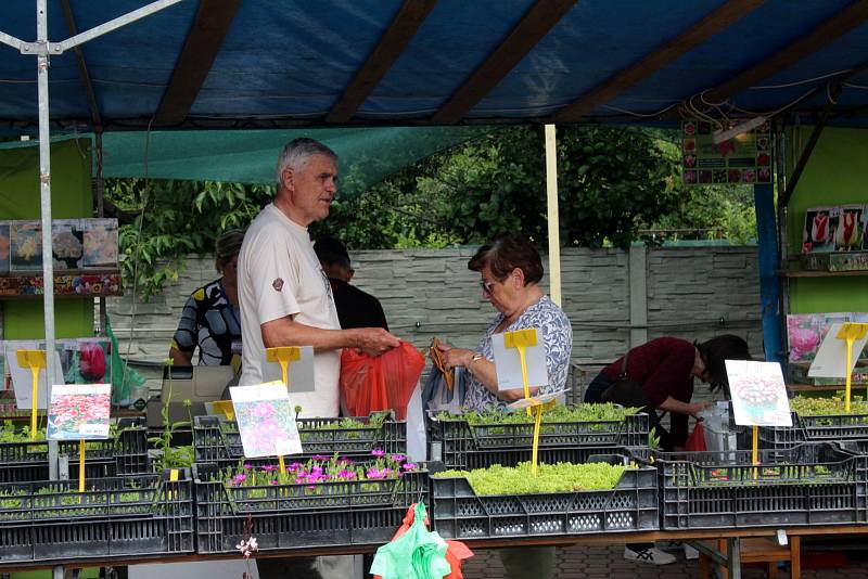 Na lyském výstavišti je k vidění až do neděle výstava Květy a Festival umění. Ve venkovních prostorách jsou připraveny pouťové atrakce.