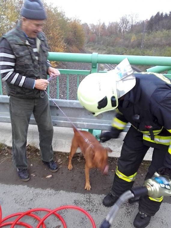 Záchrana psa ze železného zábradlí.