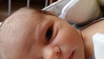 PŘEKVAPENÍ MATYÁŠEK.  Do poslední chvíle nikdo netušil, že se narodí kluk Matyáš MIKULÍK. Na svět přišel ve středu 10. února 2016 v 18. 06 hodin. Vážil 3 610 g  a měřil 52 cm. Doma bude s maminkou Kateřinou a tatínkem Petrem na Zavadilce. 