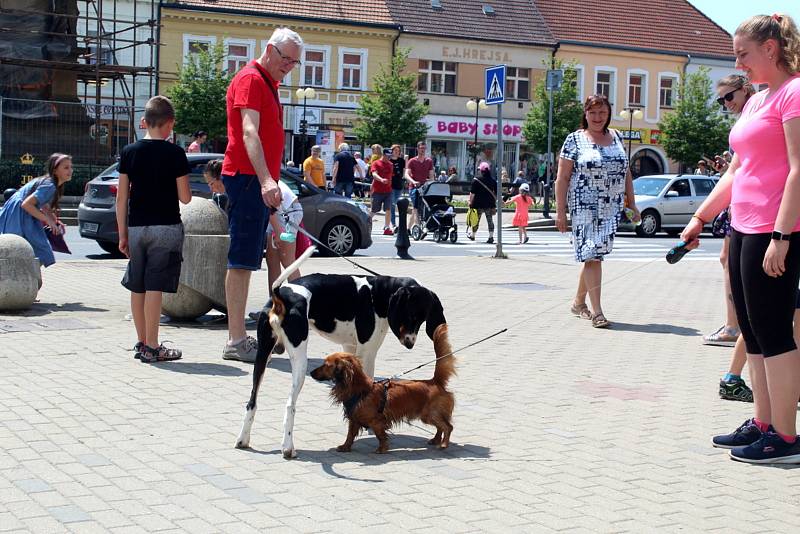 Slavnosti krále Jiřího v Poděbradech.