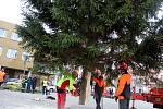 Na Nymburské náměstí dorazil v pondělí dopoledne Vánoční strom.