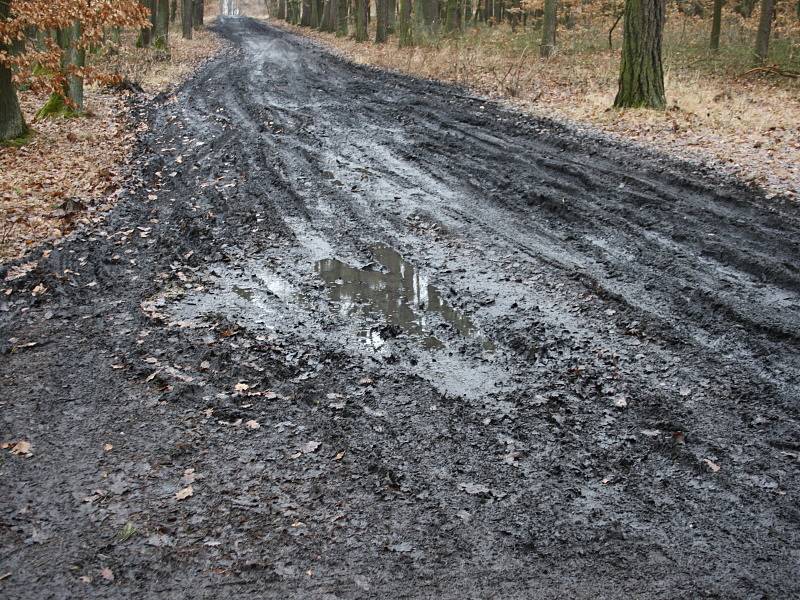 Jaroslav Zvířecí a rozbahněná cesta