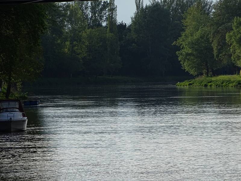 Hladina Labe v Poděbradech po deštích mírně stoupla.