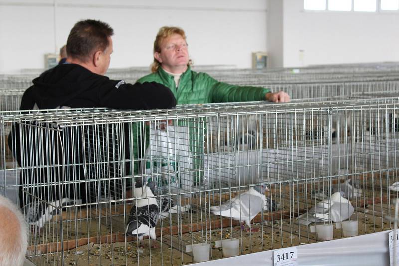 Výstava Náš chovatel nabízí každoročně přehlídku nejzajímavějších chovaných zvířat nejen z celého kraje.