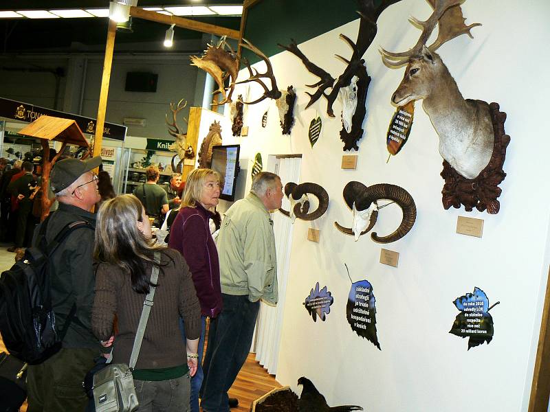 Jedna z každoročně nejnavštěvovanějších výstav v Lysé nad Labem Natura Viva byla slavnostně zahájena.
