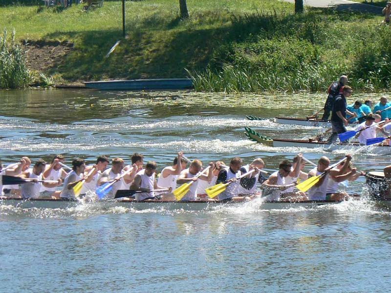 Závody Dračích lodí na Labi v Nymburce