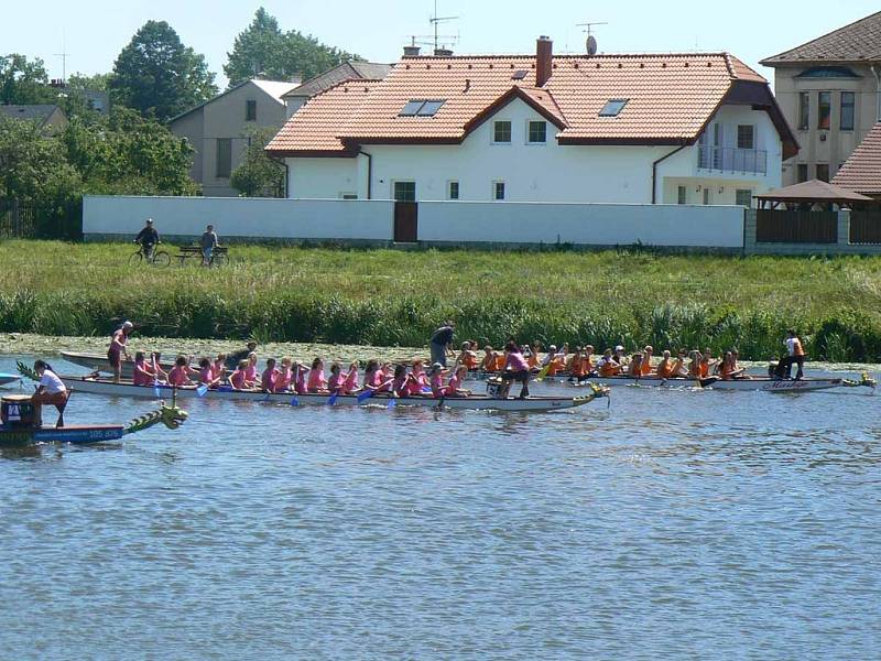 Závody Dračích lodí na Labi v Nymburce