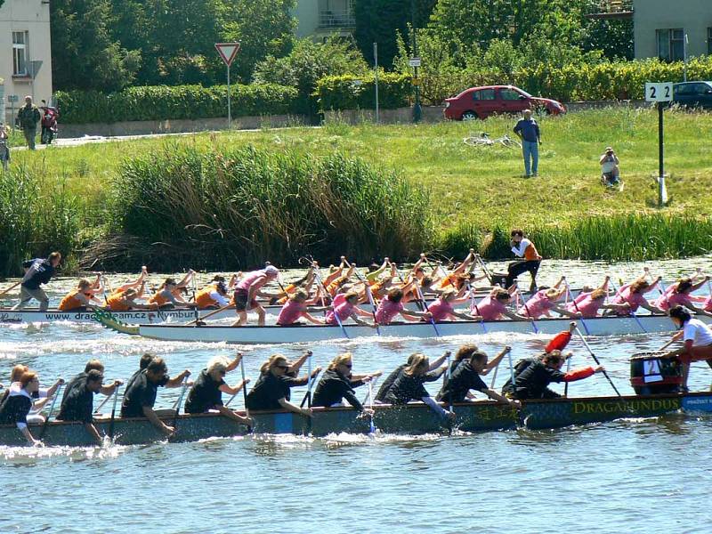 Závody Dračích lodí na Labi v Nymburce