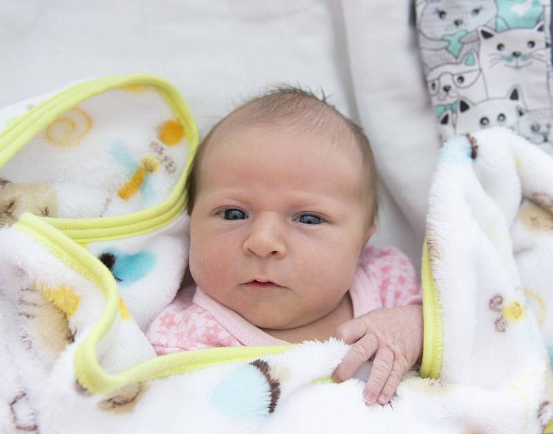Šárka Lenochová se narodila v nymburské porodnici 7. října 2021 ve 14:15 hodin s váhou 3290 g a mírou 50 cm. V Jablonci nad Nisou se na prvorozenou holčičku těšila maminka Jana a tatínek Jiří