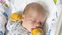Teodor Šafr se narodil v nymburské porodnici 22. srpna 2021 v 17.05 hodin s váhou 3740 g a mírou 51 cm. S maminkou Kateřinou, tatínkem Davidem a sestřičkou Dominikou (8 let) bude chlapeček bydlet v Čelákovicích.