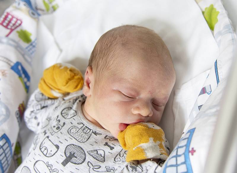Teodor Šafr se narodil v nymburské porodnici 22. srpna 2021 v 17.05 hodin s váhou 3740 g a mírou 51 cm. S maminkou Kateřinou, tatínkem Davidem a sestřičkou Dominikou (8 let) bude chlapeček bydlet v Čelákovicích.