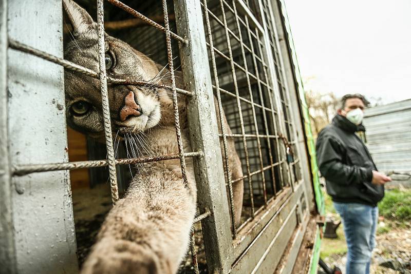 Letos na jaře při návštěvě Cirkusu Jo - Joo v jeho zimovišti ve Zbožíčku.