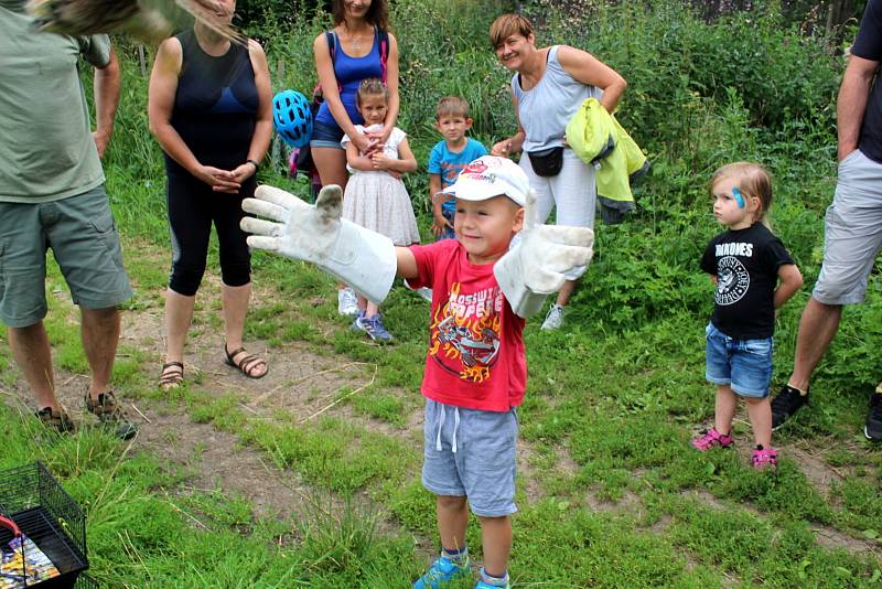 Vypouštění vyléčených zvířat do volné přírody během loňského roku.