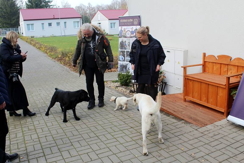 Dvojice labradorů Niko a Nairo po tři čtvrtě roce výchovy nastoupí kurz vodících psů. Odsouzení budou místo nich vychovávat malé fenky Cheron a Chutney.