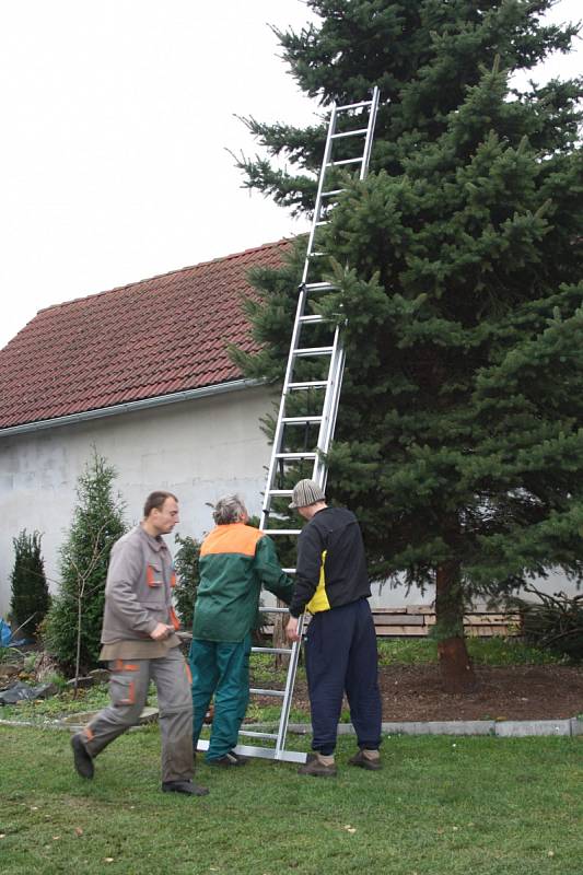 Cesta vánočního stromu v Kostelní Lhotě.