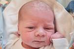 Amálie Bačová se narodila v nymburské porodnici 17. listopadu 2021 ve 14:17 hodin s váhou 3090 g a mírou 47 cm. Z prvorozené se radují rodiče Eliška a Ondřej z Prahy.
