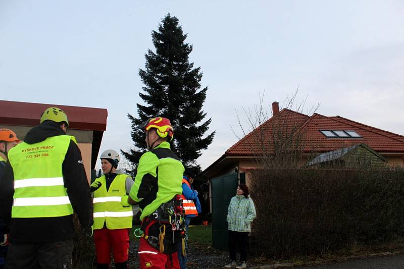 Nymburské náměstí zdobí Vánoční strom, který byl uříznut v Kovanicích. 