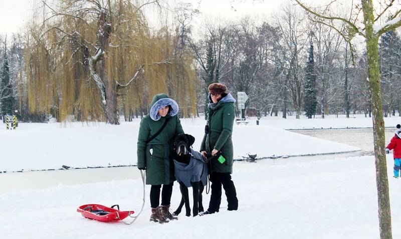 V noci na pondělí napadlo v Nymburce 10 centimetrů sněhu.