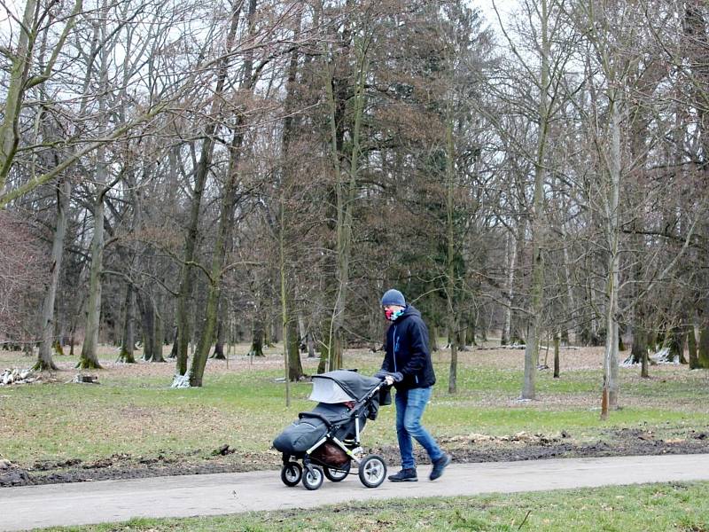 Neumannovy sady v Poděbradech.