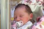 Laura Lebedová se narodila v nymburské porodnici 3. listopadu 2021 v 7:03 hodin s váhou 3300 g a mírou 51 cm. Krásným překvapením se stala holčička pro maminku Kateřinu, tatínka Jana a brášky Matyáše (7 let) a Tobiáše (2,5 roku) z Hradešína.