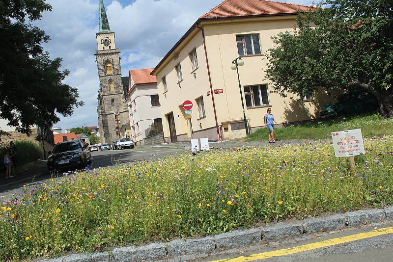 Jeden z projektů navrhuje vybudování podobných květinových ploch, jaké se loni objevili na křižovatce u Labe pod budovou soudu.