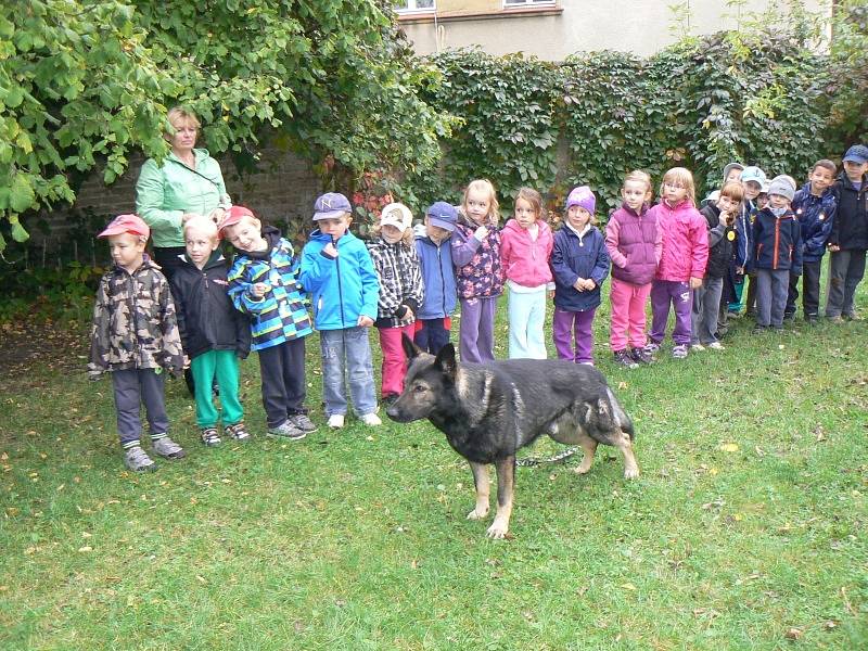 Psovod, pejsci a děti ze školky