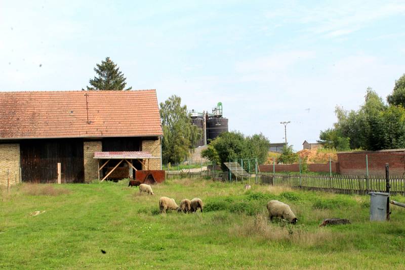 Poznáte, odkud jsou snímky?