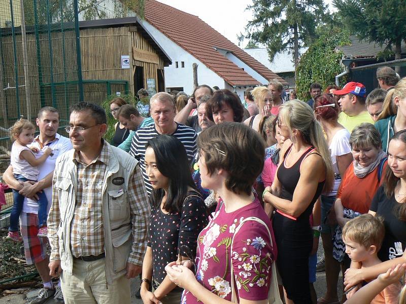 Otevření pavilonu s opičkami langur duk