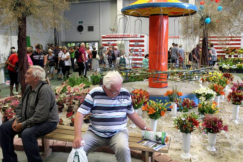 Na lyském výstavišti je k vidění až do neděle výstava Květy a Festival umění. Ve venkovních prostorách jsou připraveny pouťové atrakce.